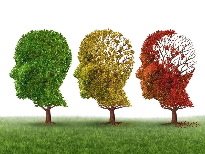 Tipos de Alzheimer