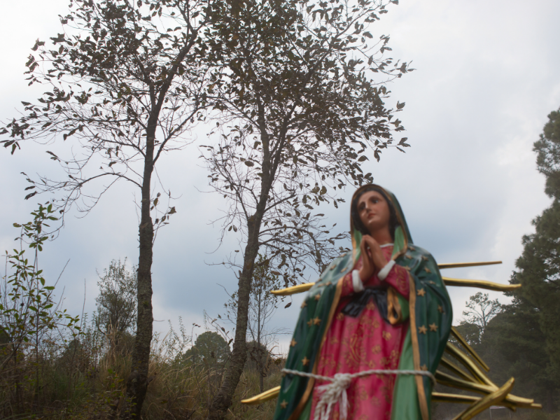 Virgen de Guadalupe: ¿Por qué es tan adorada?
